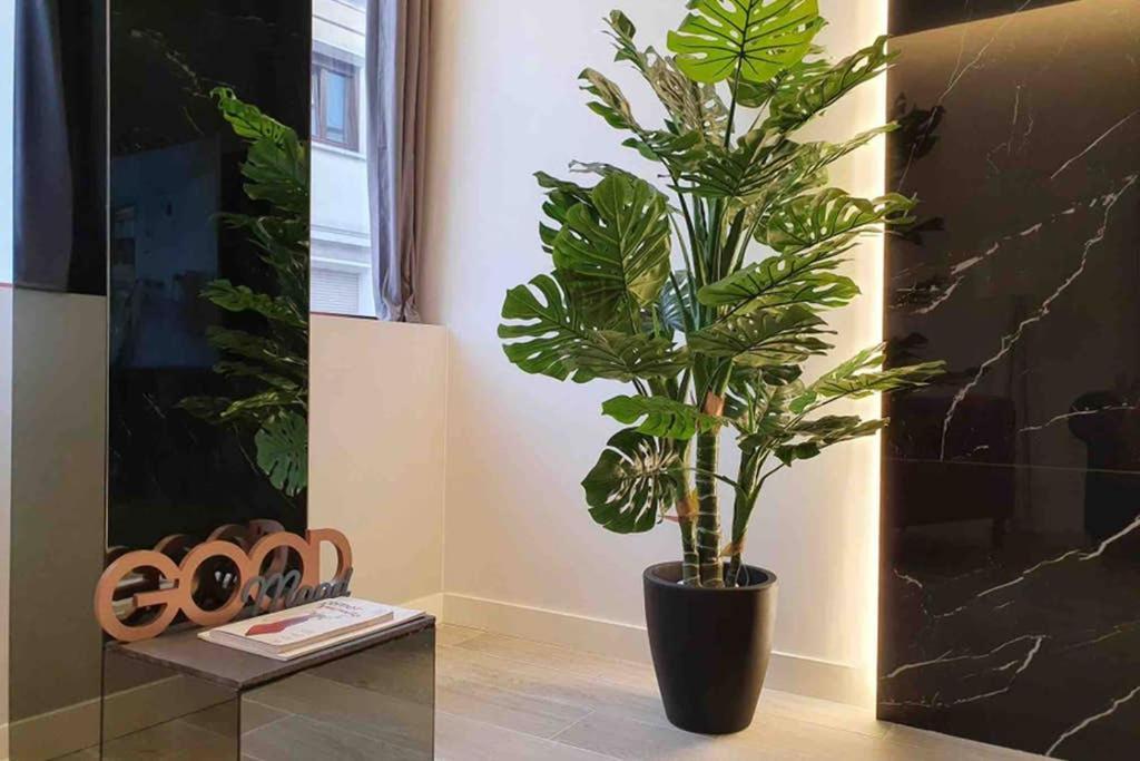 Miluisuites Loft And Spa Catedral. Σανταντέρ Εξωτερικό φωτογραφία